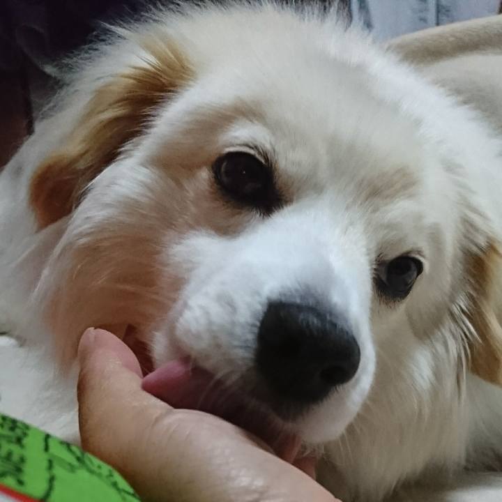 6807788d 34f9 4e55 8f66 77488580bd6e