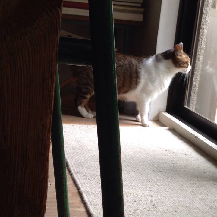 6808d615 8134 4ae4 8b37 4f55f1451eb8