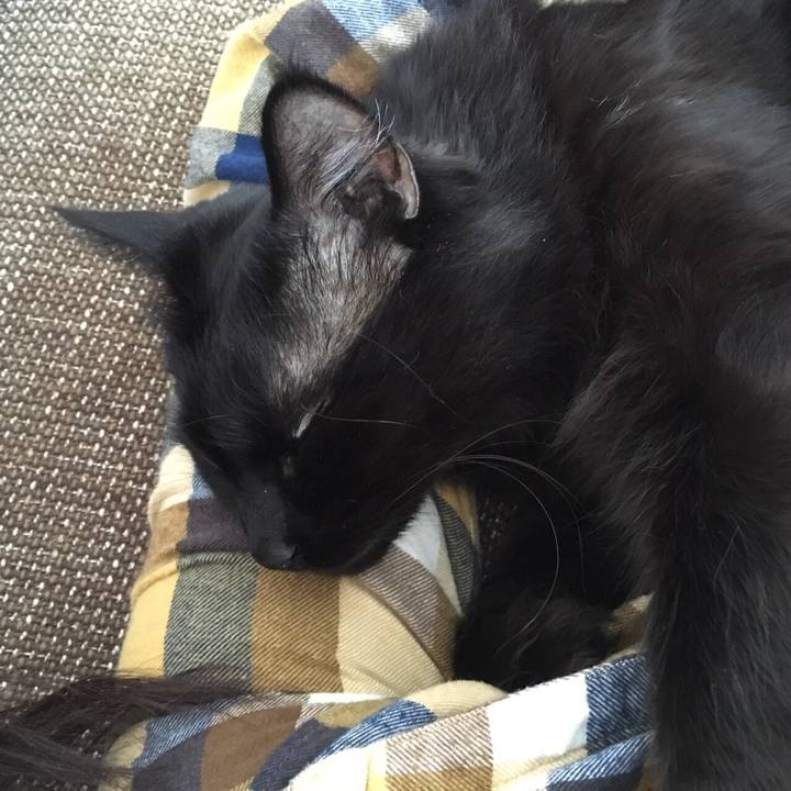 6808d92d cdf7 4101 bb09 cfd8dca172b0