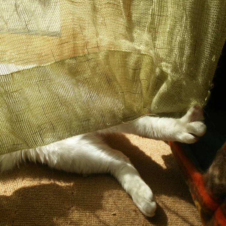 6808fff3 f755 496b 8b3b 768e823d3879