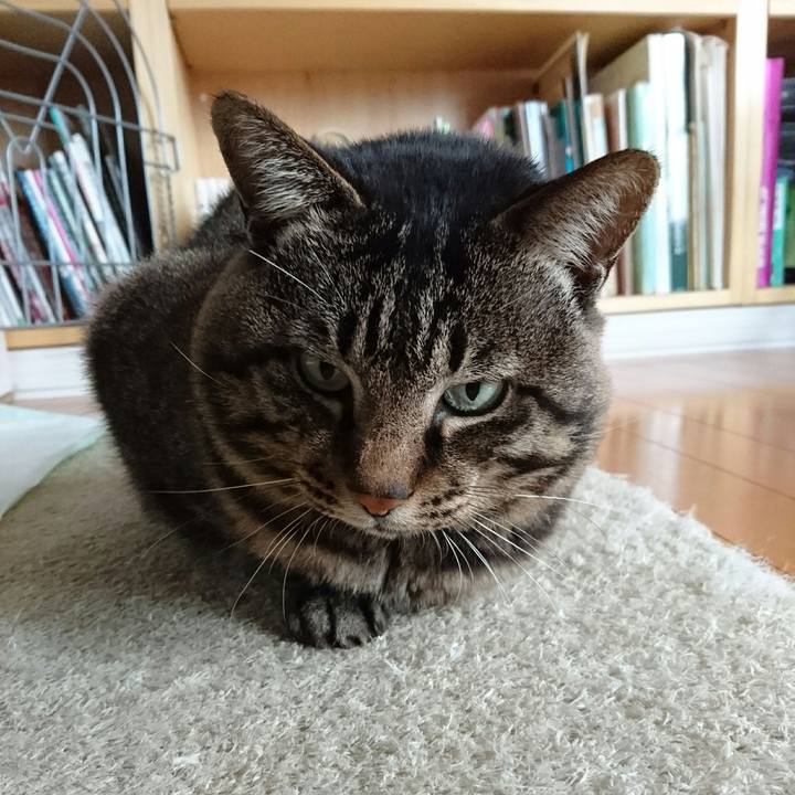 680996e9 9129 4970 8c62 dd80d7fe93ae