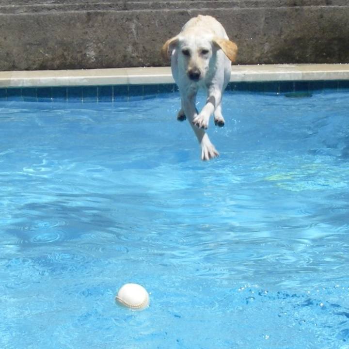 680a6c5a 4b46 4bac 8572 d5e1ab320821