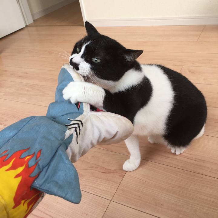 680a7834 9193 40e5 9609 fe53af8b6f3c