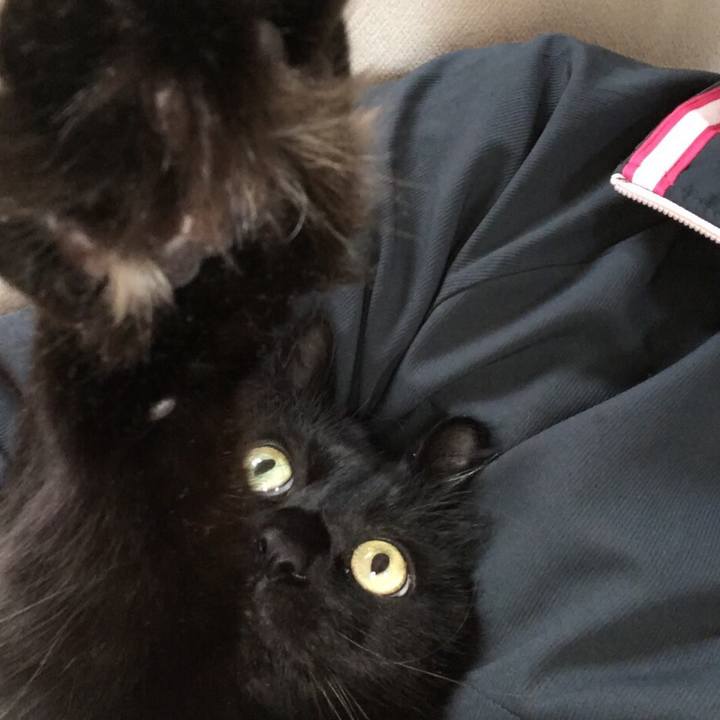 680aa195 f8da 4d6f ab97 ab168c9314e0