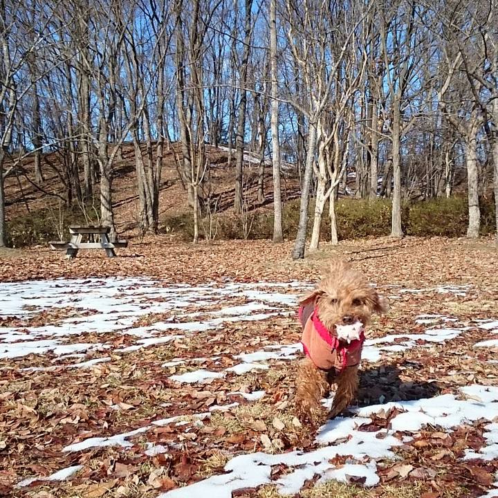 680af4d4 8d16 4000 b594 afda3b049837