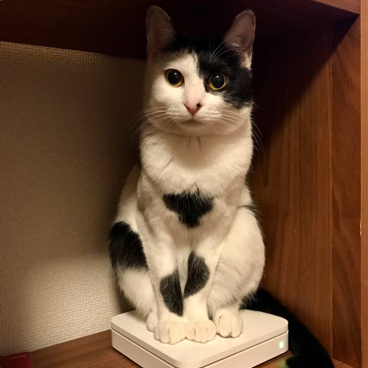 680b6fe6 cc4a 4268 8d0c a18476931f5a