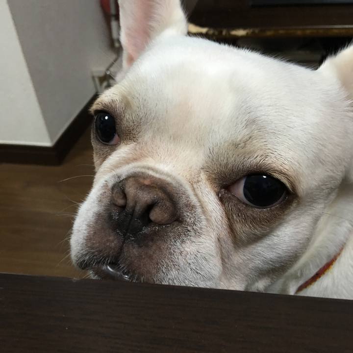 680b7533 9176 4c96 945f f96f408d18a2