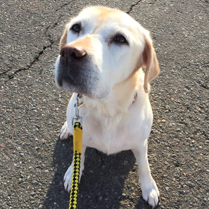 680b9755 7e17 4648 8c26 24d4567274c2