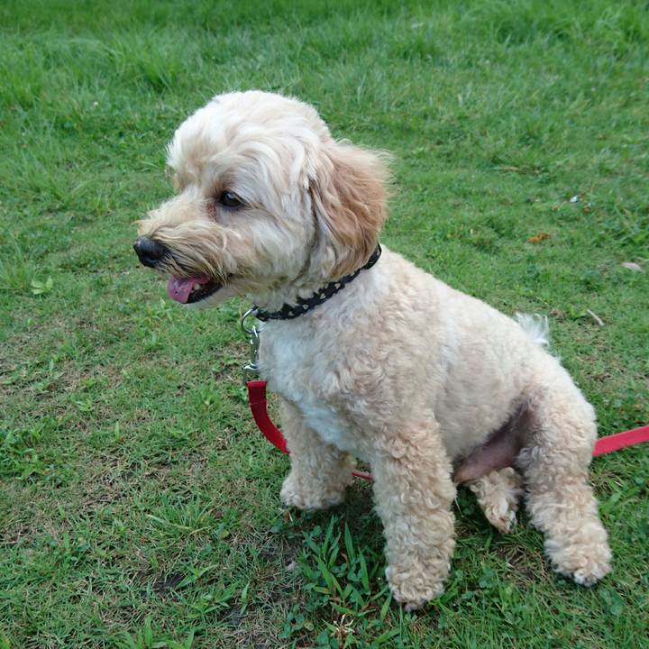 680c02b6 6595 426d 9886 36a9d8c03c97