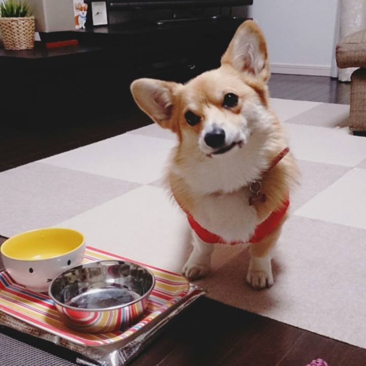 680c88b3 f372 452b a92d 141dbd667860