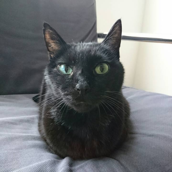 680ca144 6a7a 4382 b880 ce6e7d8d823f