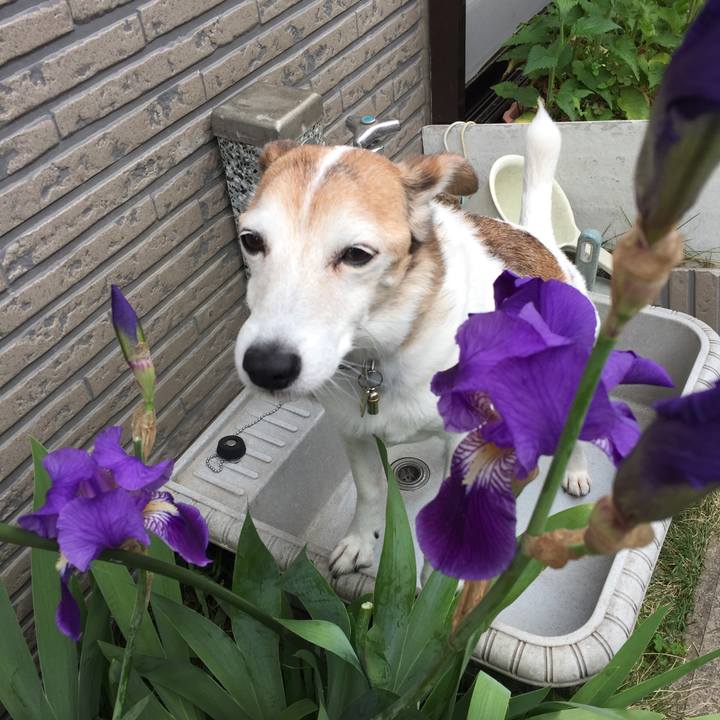 680e5d3d c273 4d80 a8af afb73362cceb