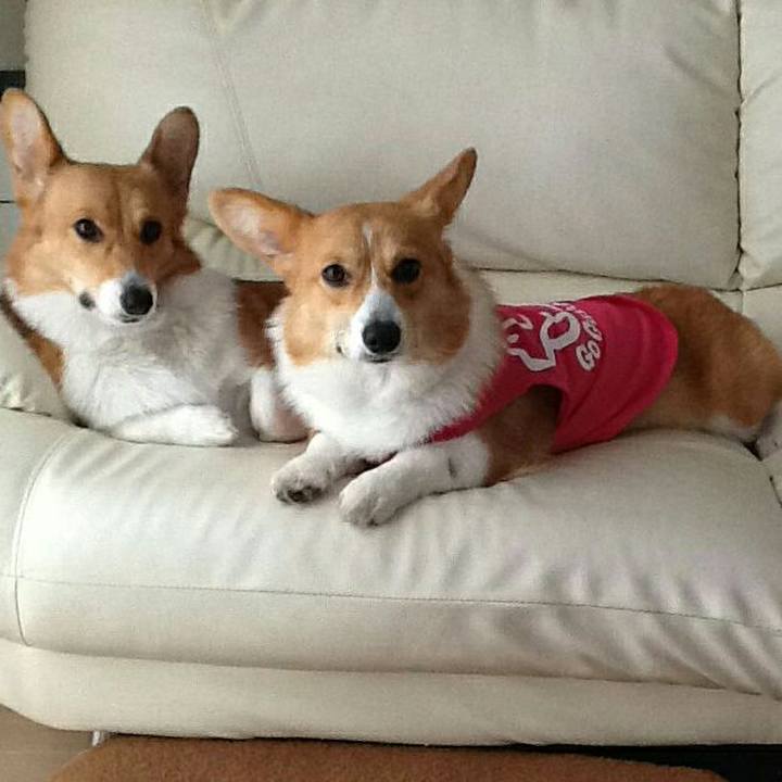 680e9992 50ed 4134 9185 c508f16b8703