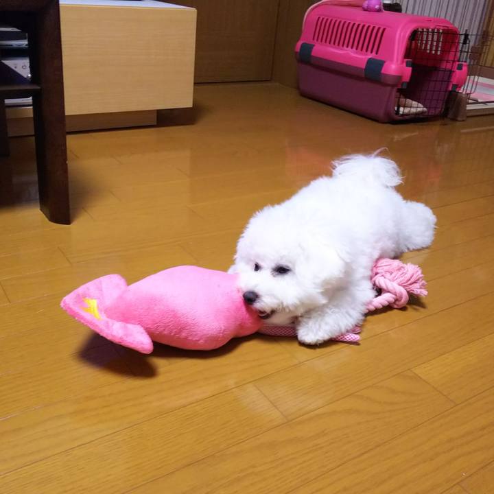 680ea16e cf0c 488c 976c d25b4b15a8ed