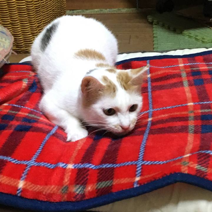 680ef954 366d 4440 877d 1892d5503a86