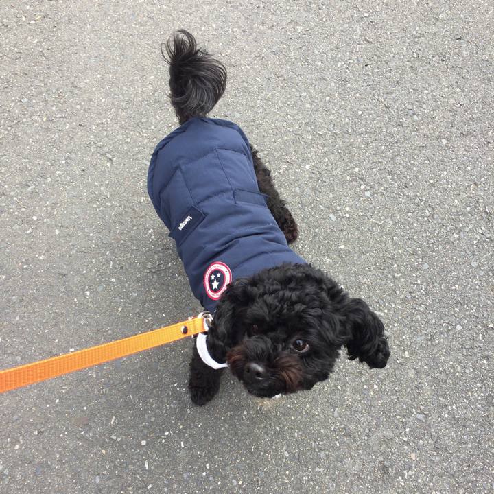 681023d6 9bb3 48a0 93fb 180ad03dad9a