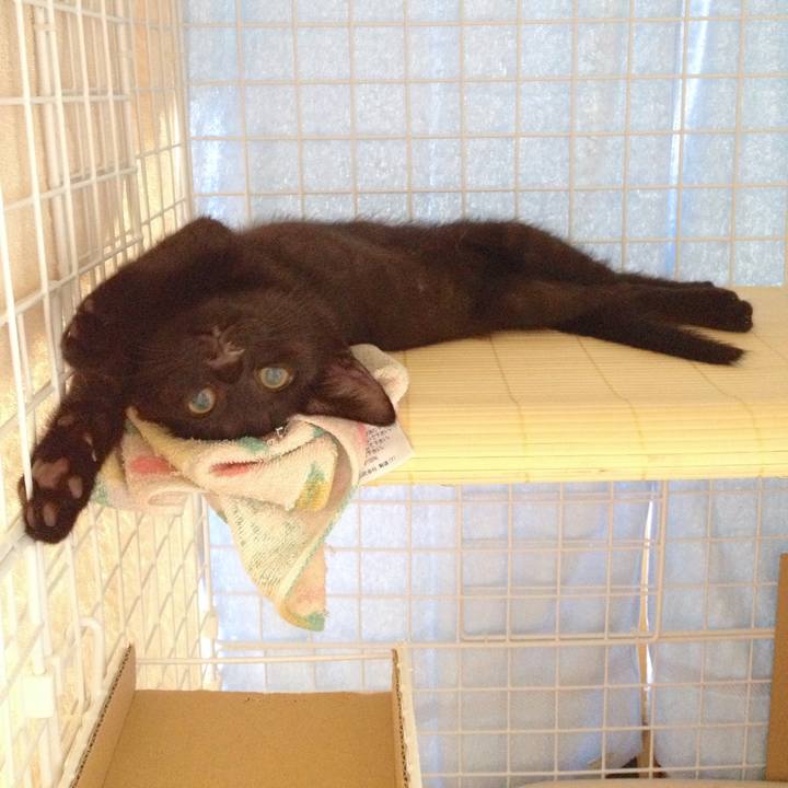 68106172 6e50 461c b48a e8ac96691d22