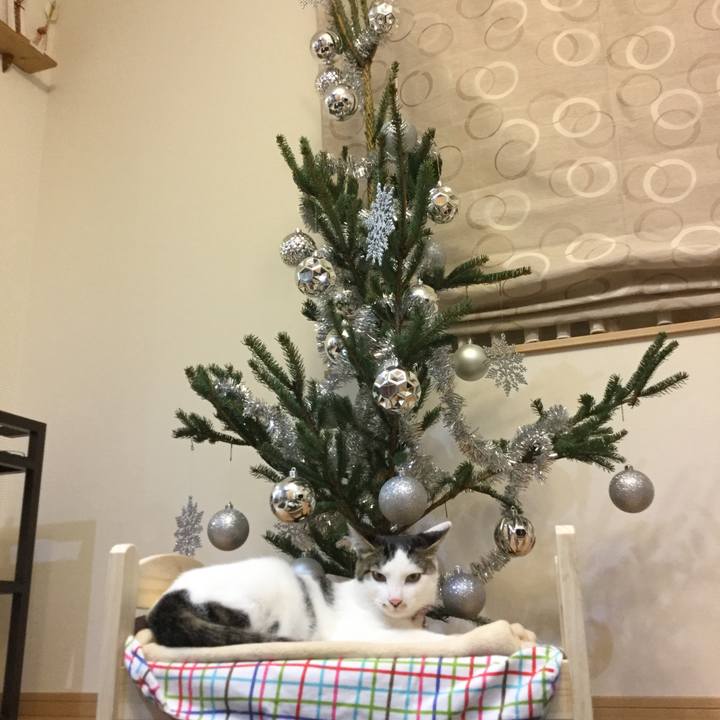 68106341 a2be 4f24 9097 4873444b1a18