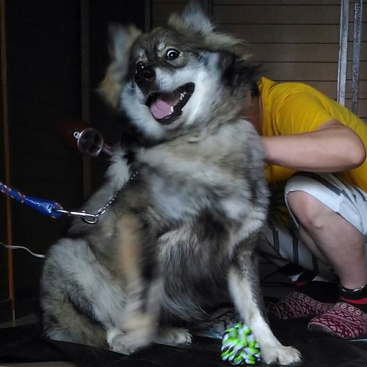 6810bf94 71b1 4d76 a735 fc0c38e317df