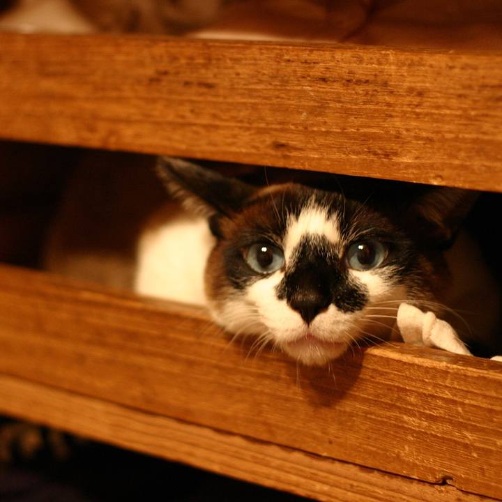 6812cd8a 1cba 4083 a9b1 b66139a6243d