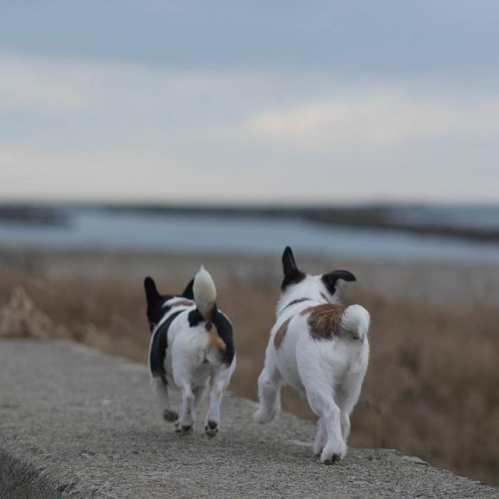 6812db30 4667 4a22 b912 8c91271c7be9