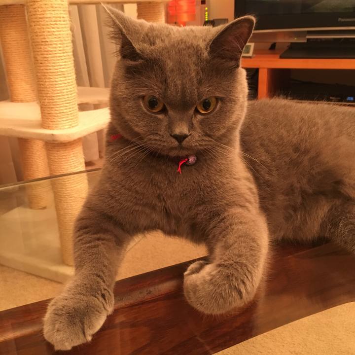 6813a78a 38d7 4dea 8f42 6400387c2b8d