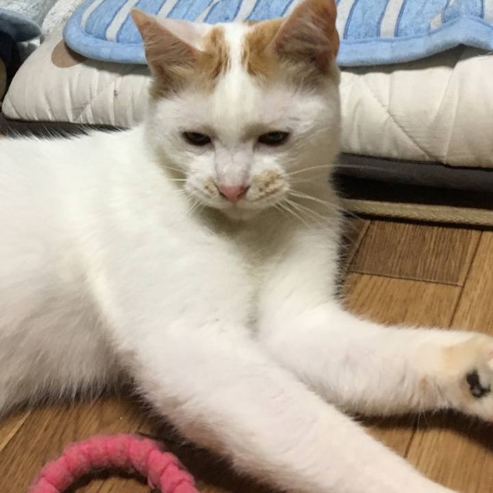 68141ac6 b673 41e4 a4a1 d7cd086af7cb