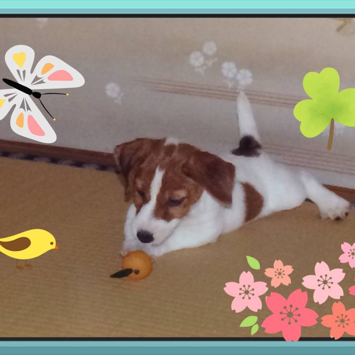 68144e96 4f7e 4661 a77b 95dc8ca5e326