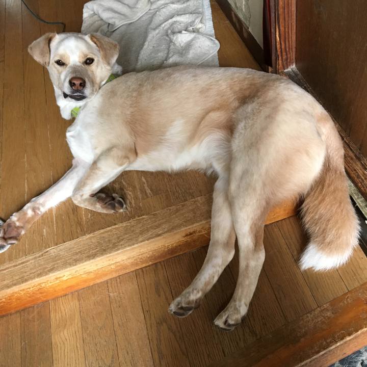 68147e9a c36c 40a4 8084 f77a687adab6