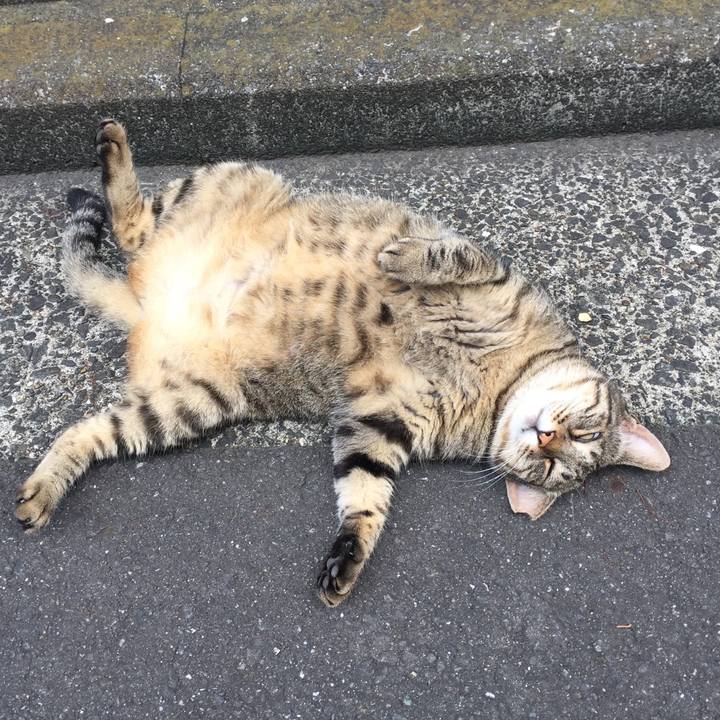 6814a786 70f9 441b ac55 4d67cfd94412