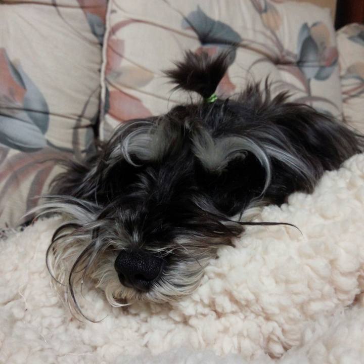 681537d5 47b5 45a6 a968 c28921685ddf