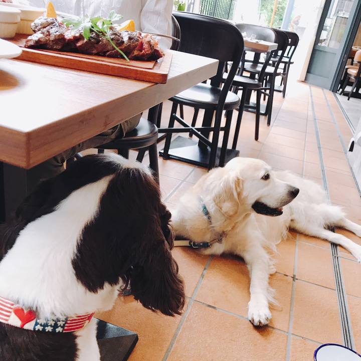 68164a06 7254 4a33 9d31 7d82ae2ff6f0