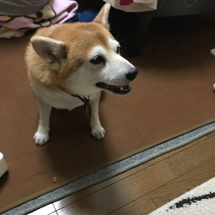 68168f73 91cb 4214 a7ee 2774f8251ad5