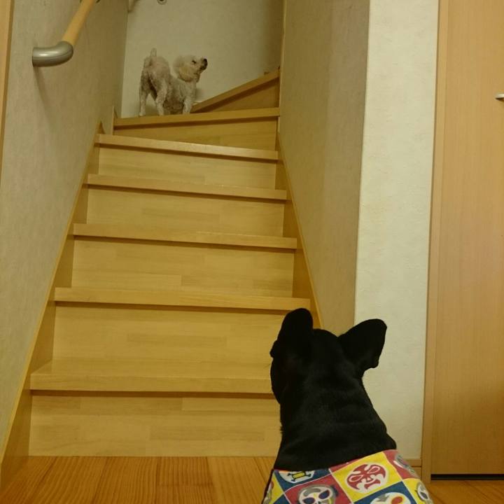 6817a83f 67f3 405e 9071 3c3244563d98