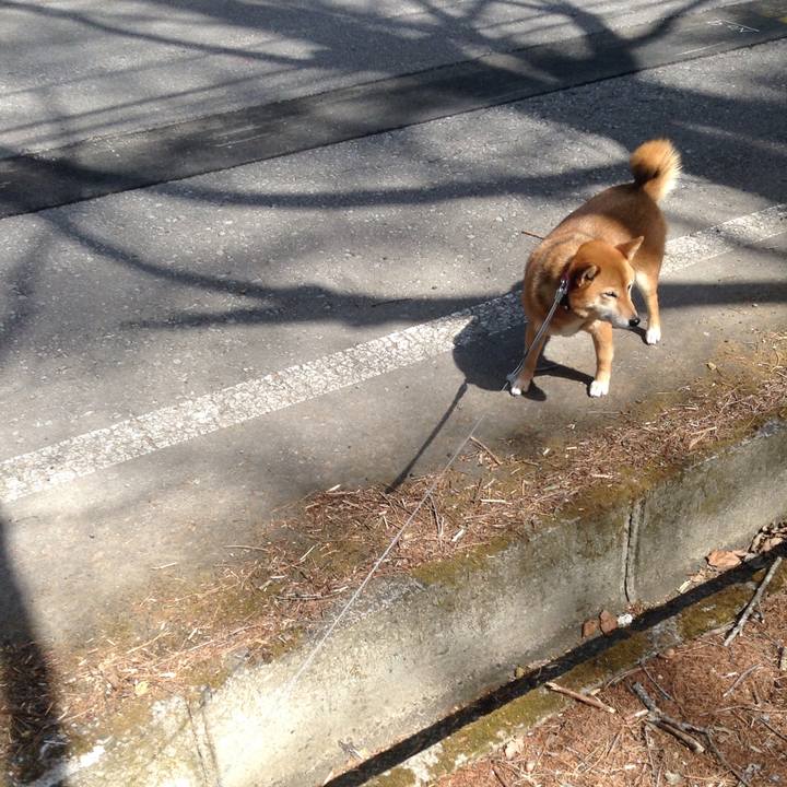 6817e2cc 6dcc 4988 b793 fc5ae7f57a74