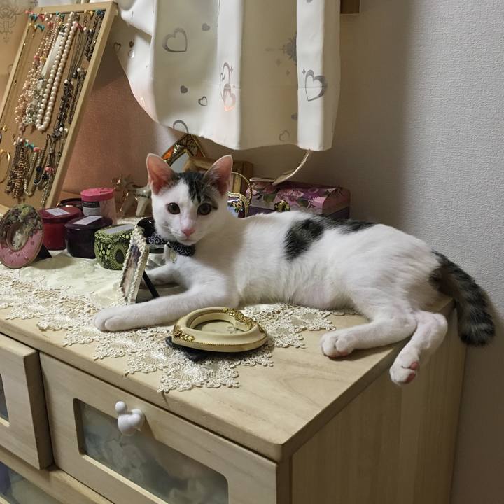 6817fb2c 12cb 402e 824d ce20ec603256