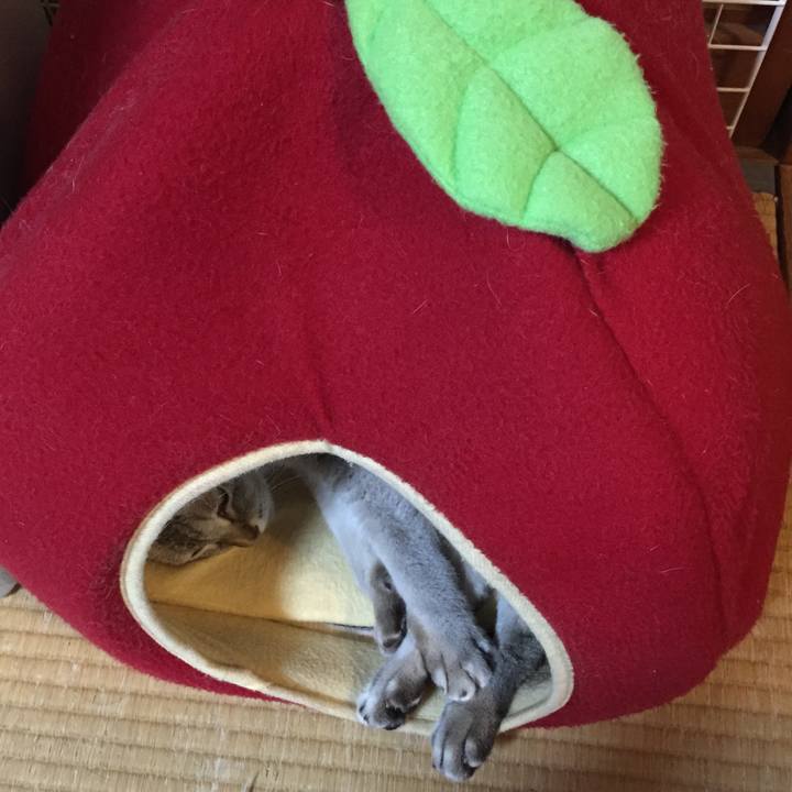 681828a6 01aa 473c a6c7 aa5b1c003644