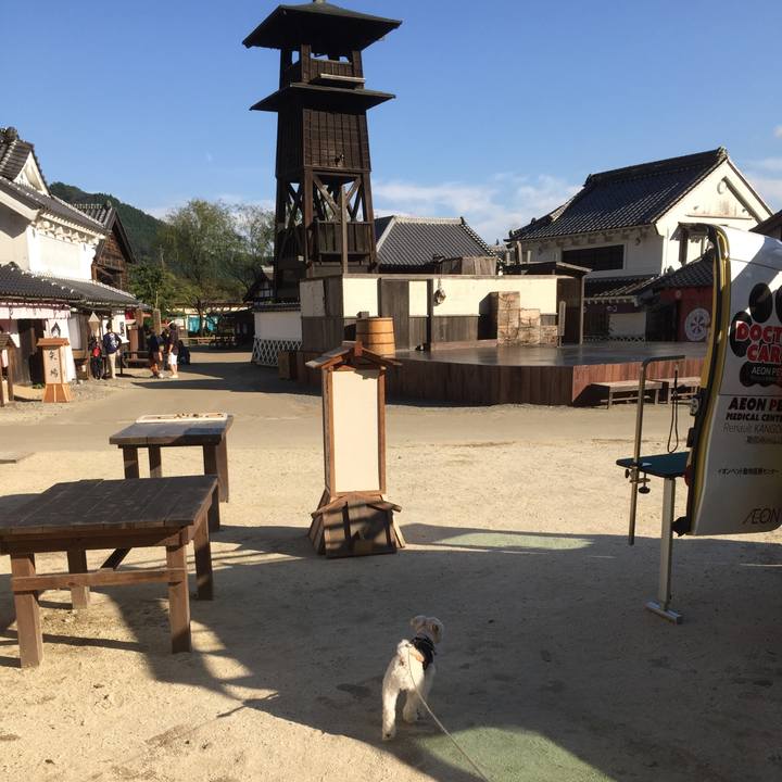 68183f86 e5a3 46e3 b3f9 25b2a6c91d41