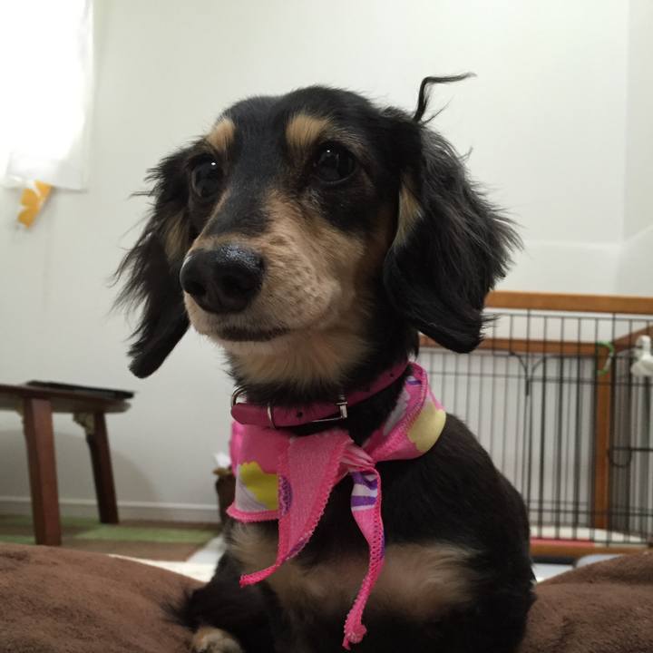 6818a3a3 2d1f 4d35 afec 3f2f04e54f1f