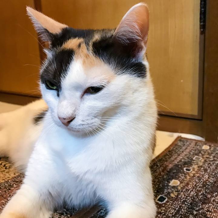 6818da0b 010d 4668 a1c3 976bfb321bca