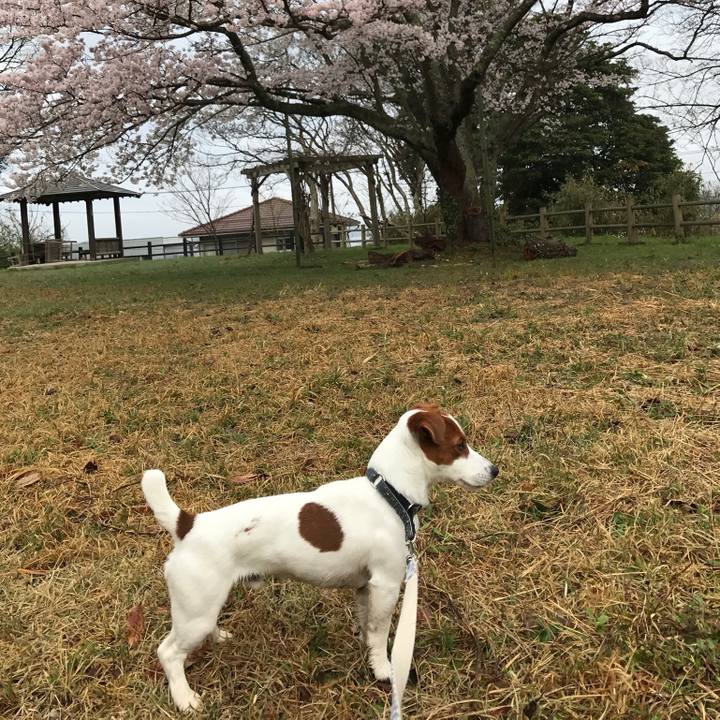 6818e7e7 4924 4559 a2c6 7fb59712c8b2