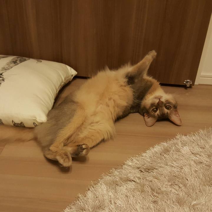 68190fe7 5362 4564 abdb 58cf87c0b6c3