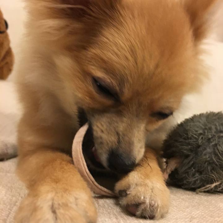 681a0e1a a56f 43fd a7e4 e09349666d86