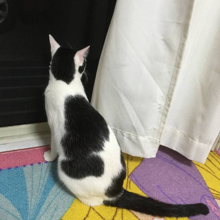 681a27d1 b503 488e 922d 1c760a3bcbd8