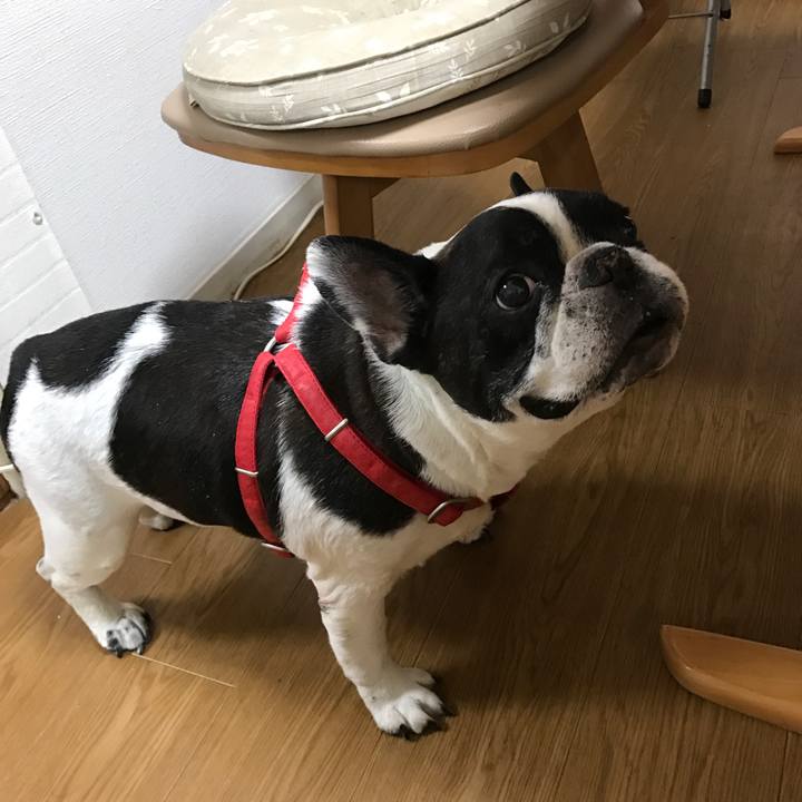 681afb5f c5ad 4fd1 9d32 8286cf9debd1