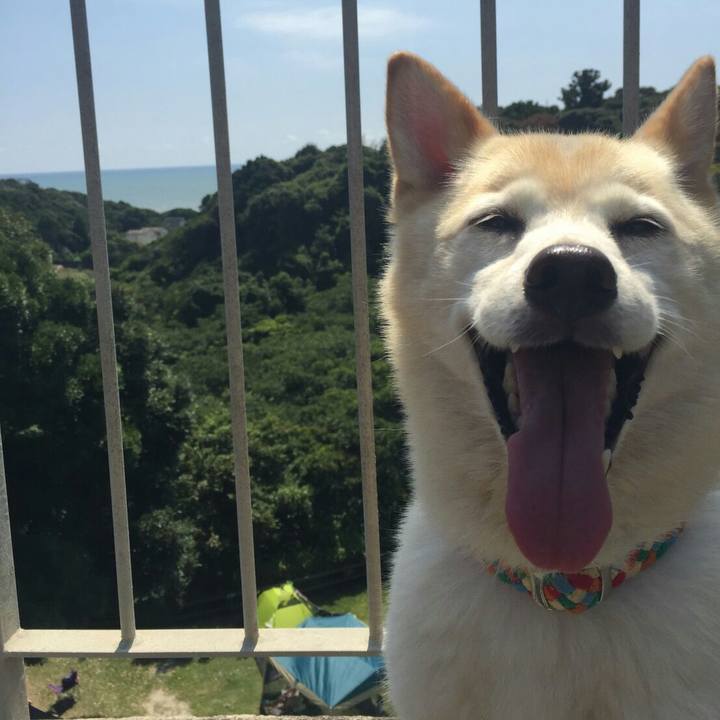 681b2cf9 e4f4 4b75 816a 8d45bc5ded6c