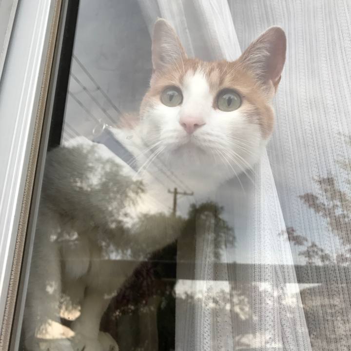 681bb32a 6d9a 4991 aa47 072b8e8e54ce