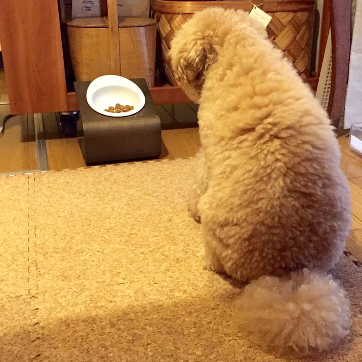 681c5df4 91b9 43a8 b6b9 cb197b109792