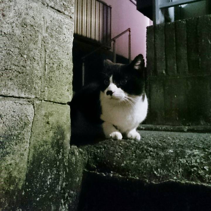 681c8b7f 3cb0 4f2d ba4d 7c18902ad565