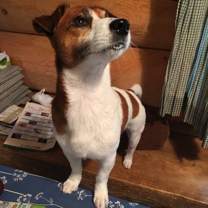 681d359e 05e7 4fe1 a9df 1108aaf3dc67